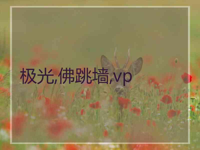 极光,佛跳墙,vp
