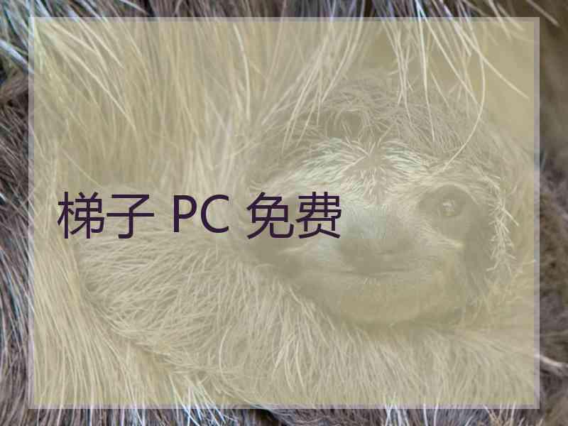 梯子 PC 免费