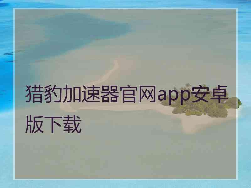 猎豹加速器官网app安卓版下载