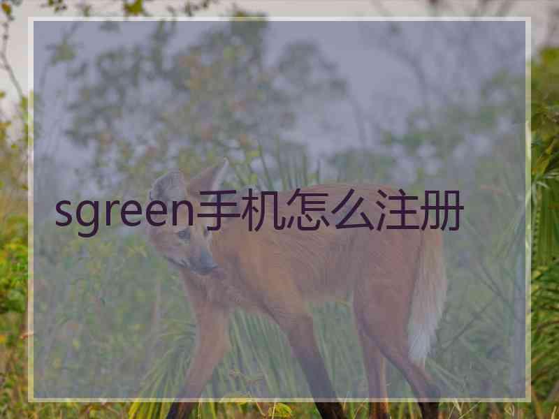 sgreen手机怎么注册