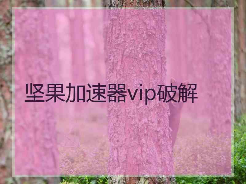 坚果加速器vip破解