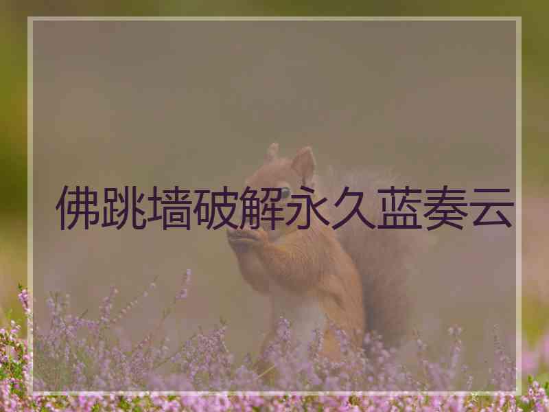 佛跳墙破解永久蓝奏云