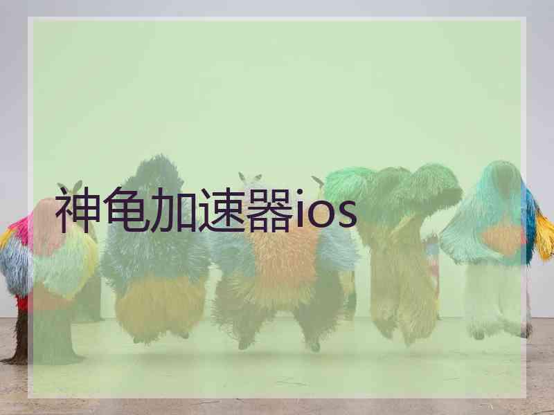 神龟加速器ios
