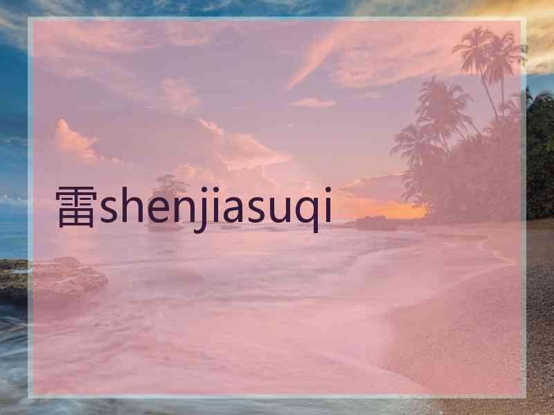 雷shenjiasuqi