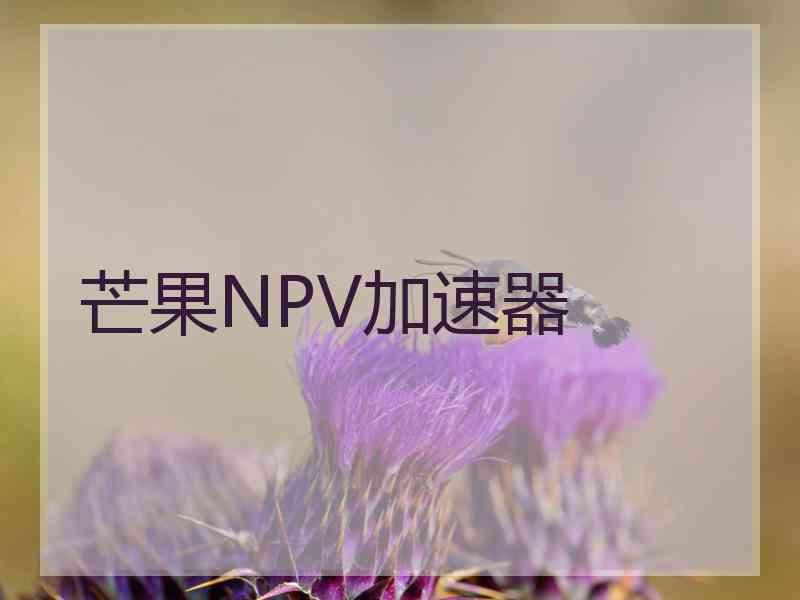 芒果NPV加速器