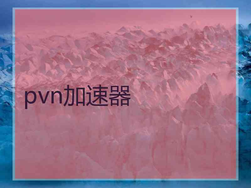 pvn加速器