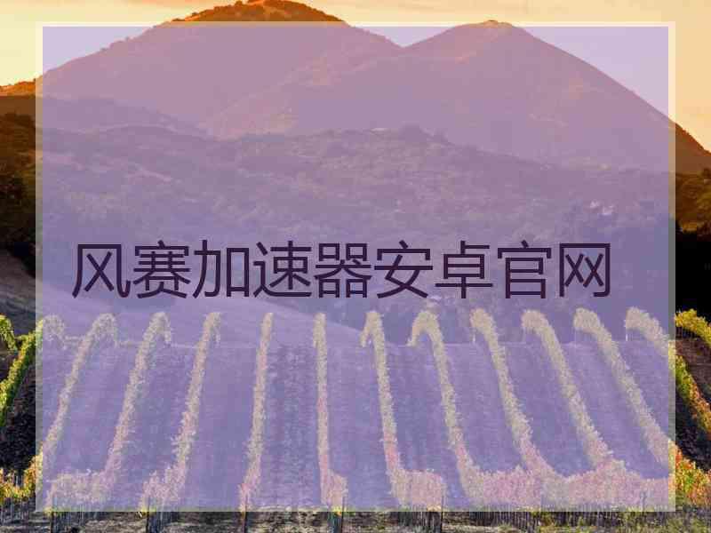 风赛加速器安卓官网