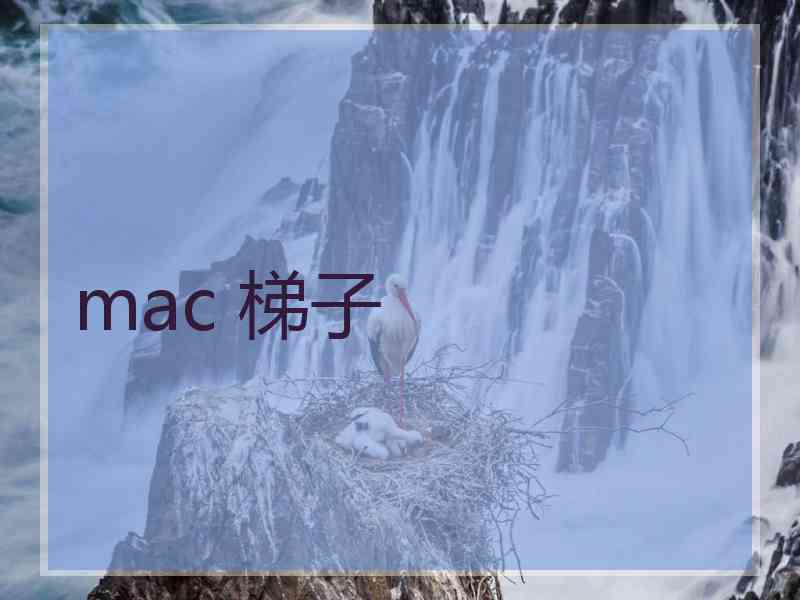 mac 梯子