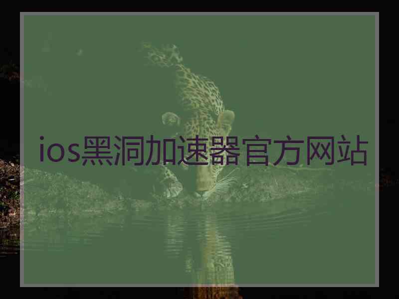 ios黑洞加速器官方网站