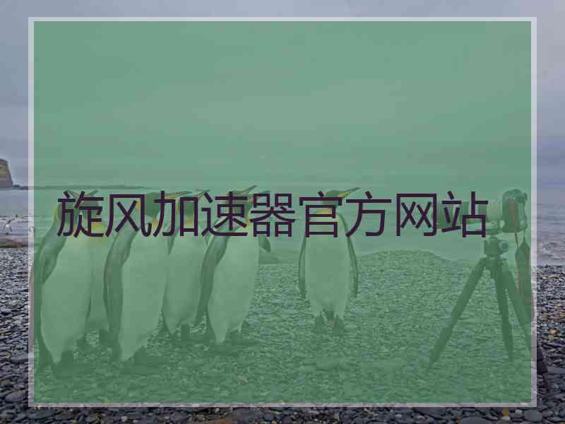 旋风加速器官方网站