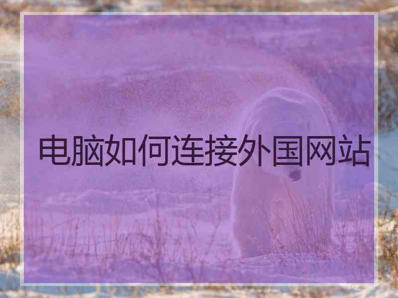 电脑如何连接外国网站