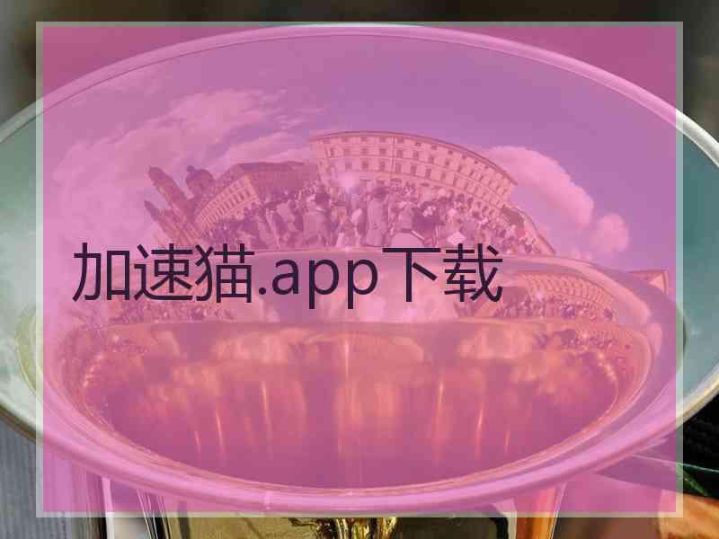 加速猫.app下载