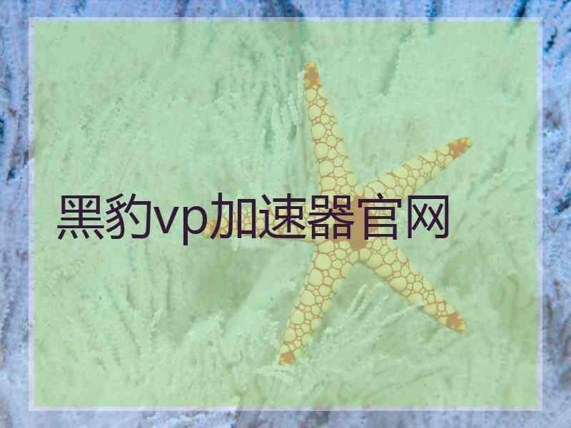 黑豹vp加速器官网