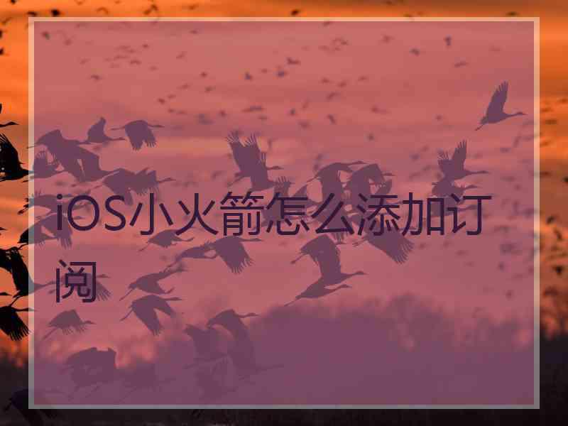 iOS小火箭怎么添加订阅