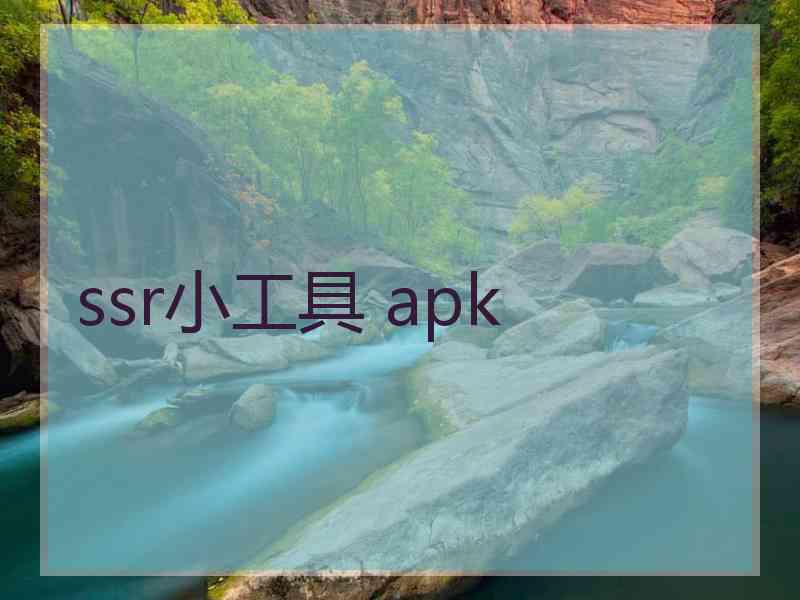 ssr小工具 apk