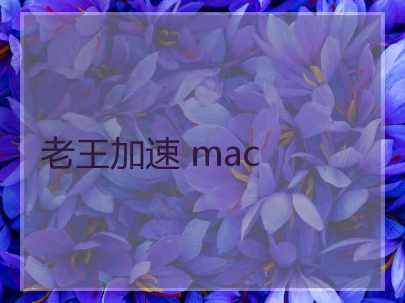 老王加速 mac