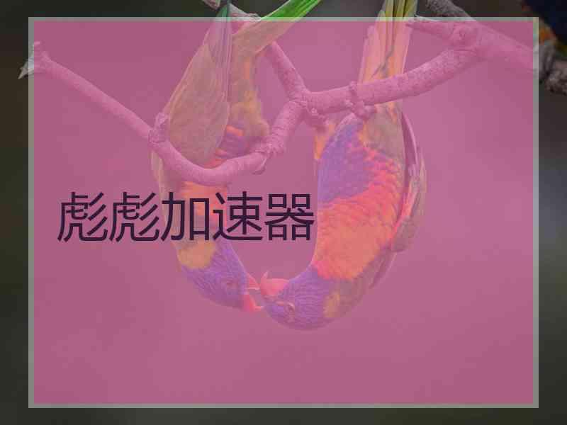 彪彪加速器