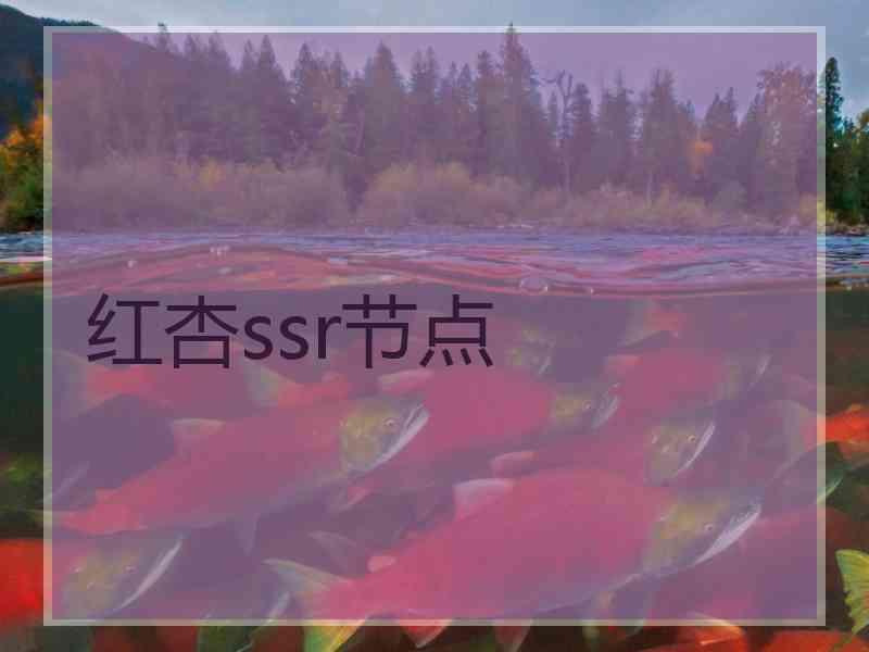 红杏ssr节点