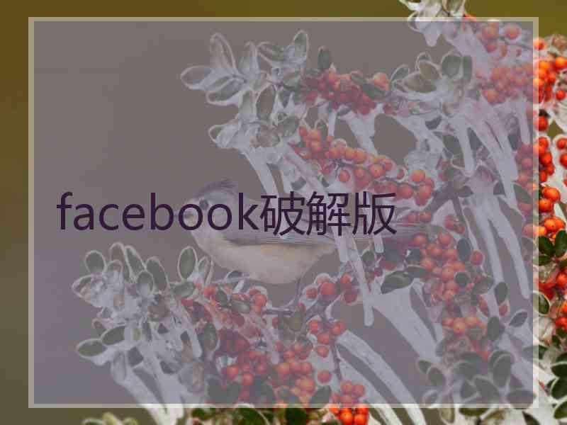 facebook破解版