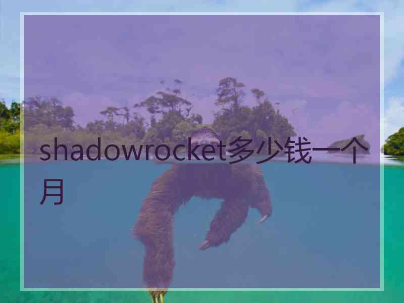 shadowrocket多少钱一个月