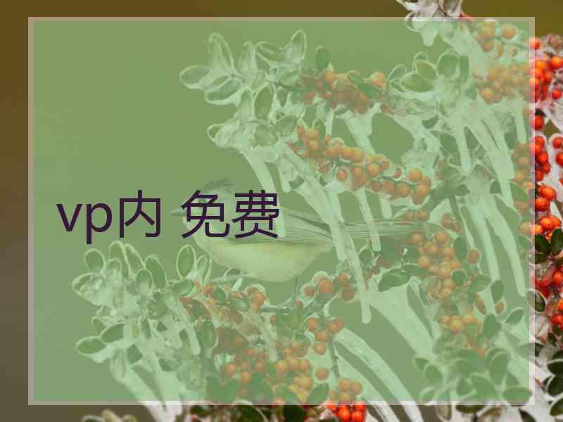 vp内 免费