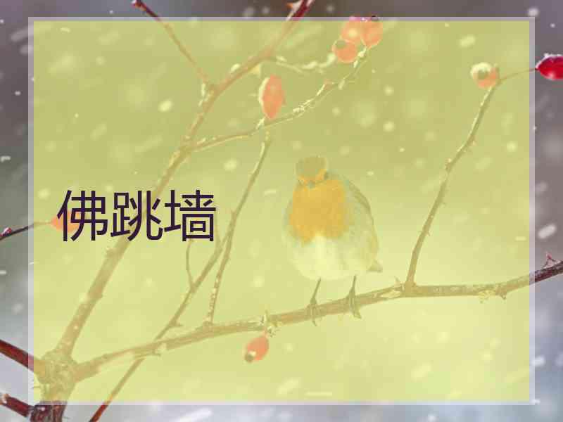 佛跳墙