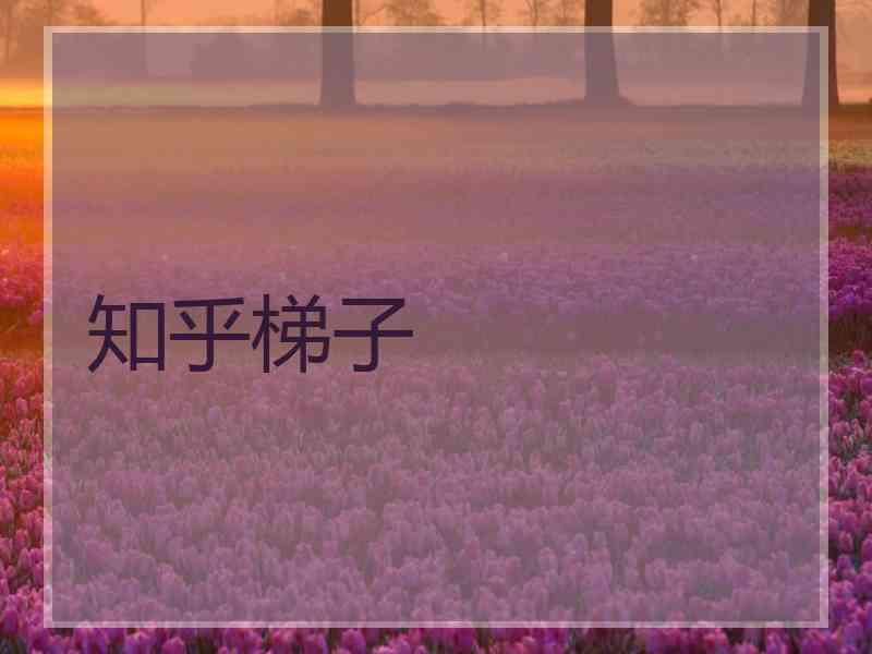 知乎梯子