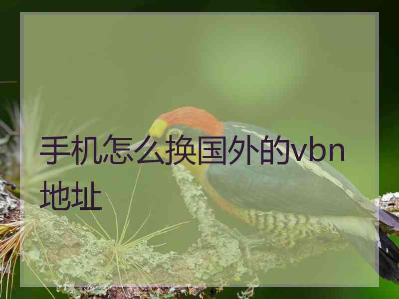 手机怎么换国外的vbn地址