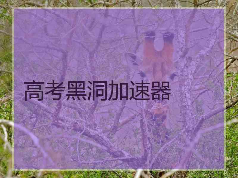 高考黑洞加速器