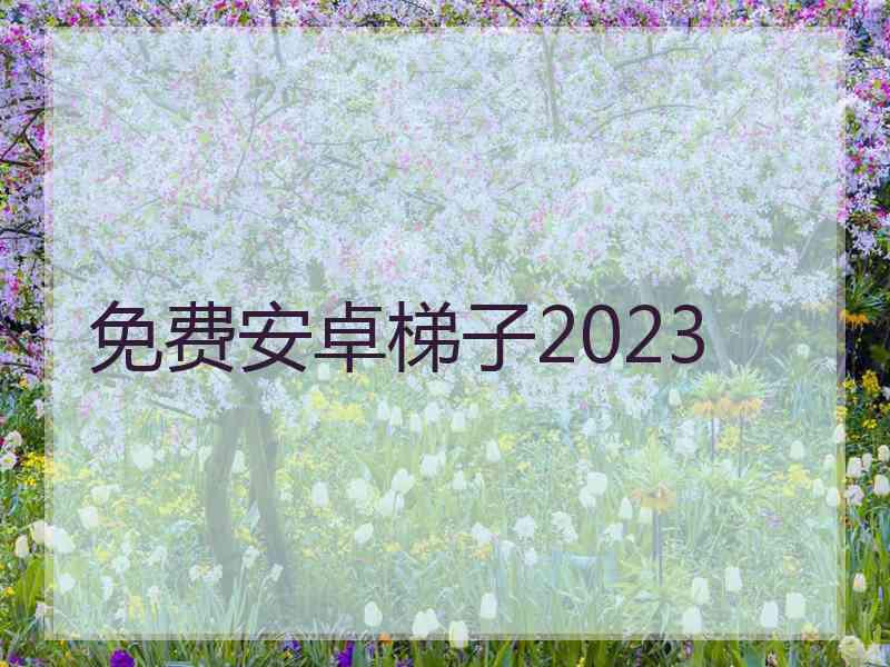 免费安卓梯子2023