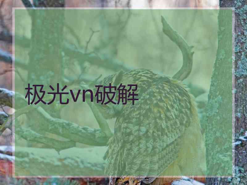 极光vn破解