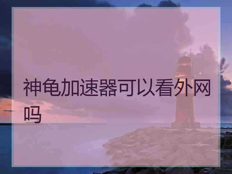 神龟加速器可以看外网吗