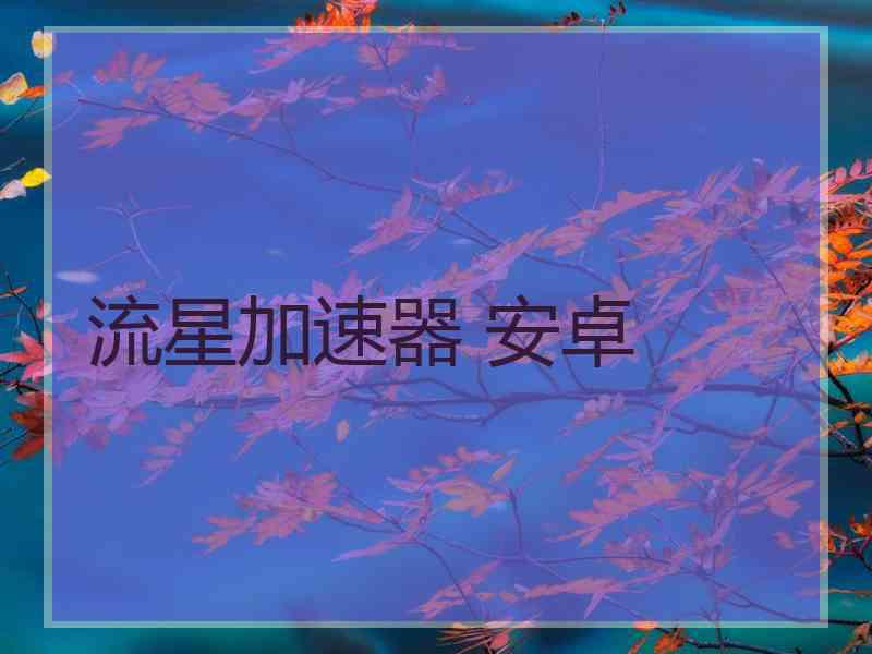 流星加速器 安卓