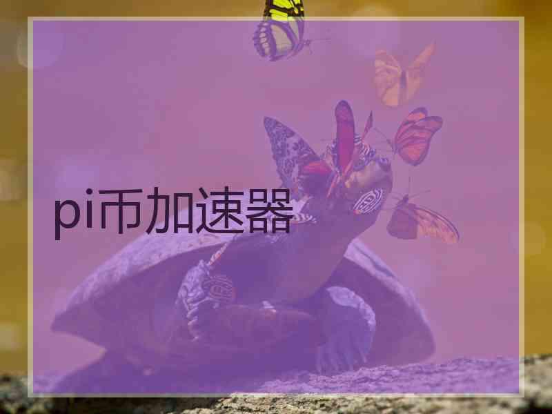 pi币加速器