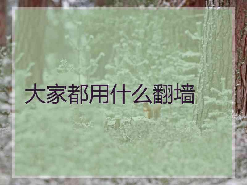 大家都用什么翻墙