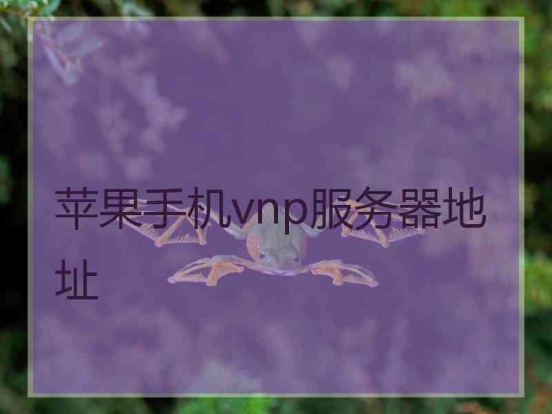苹果手机vnp服务器地址