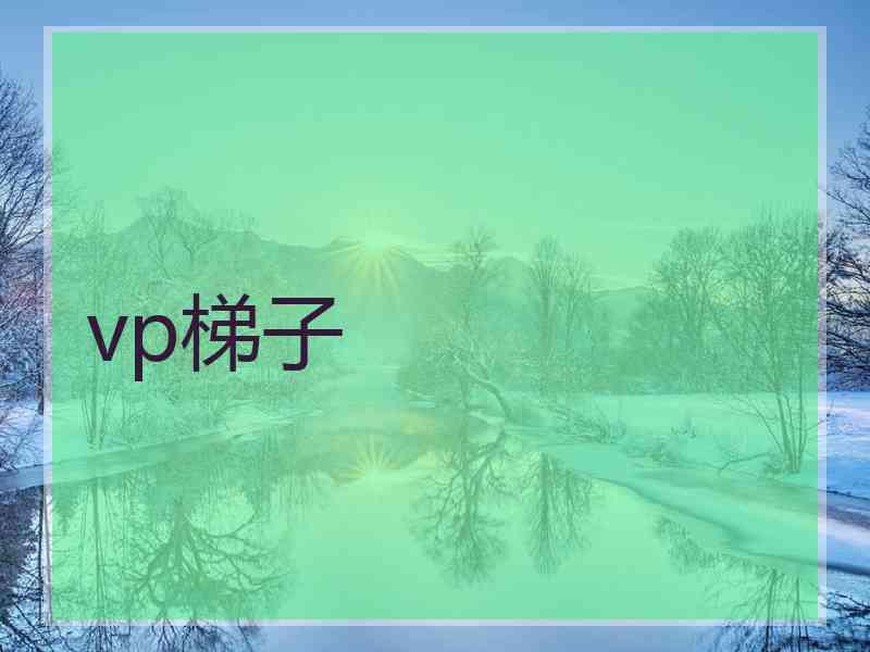 vp梯子