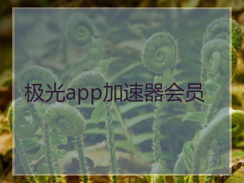 极光app加速器会员