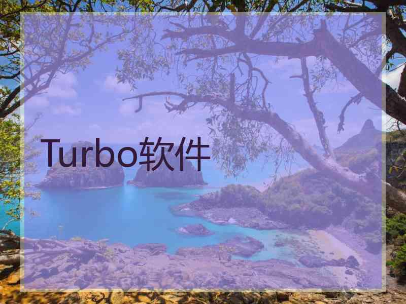 Turbo软件
