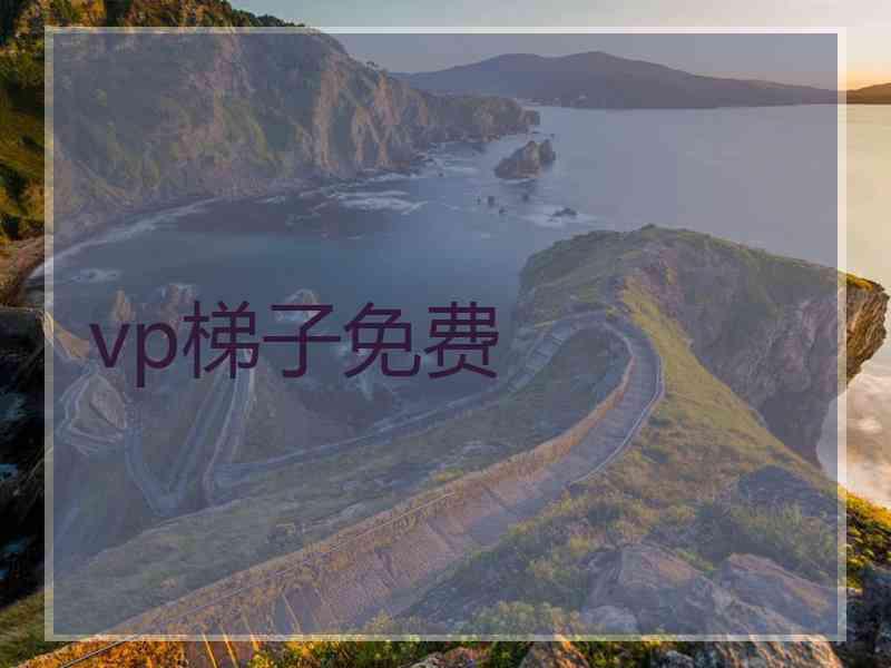 vp梯子免费
