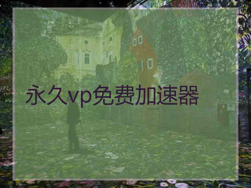 永久vp免费加速器