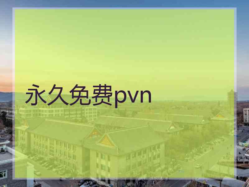 永久免费pvn