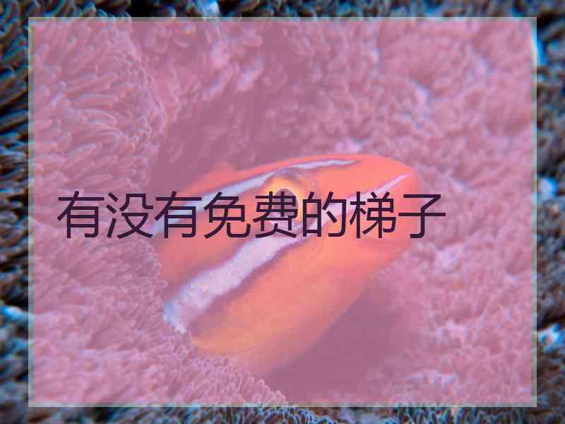 有没有免费的梯子