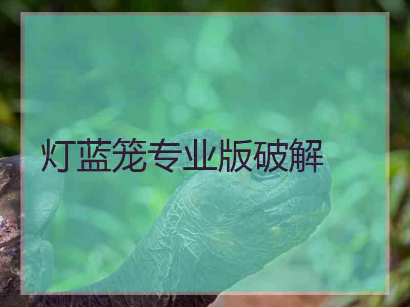 灯蓝笼专业版破解