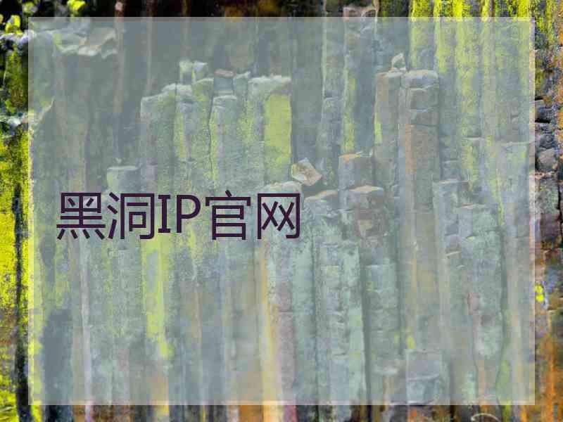 黑洞IP官网