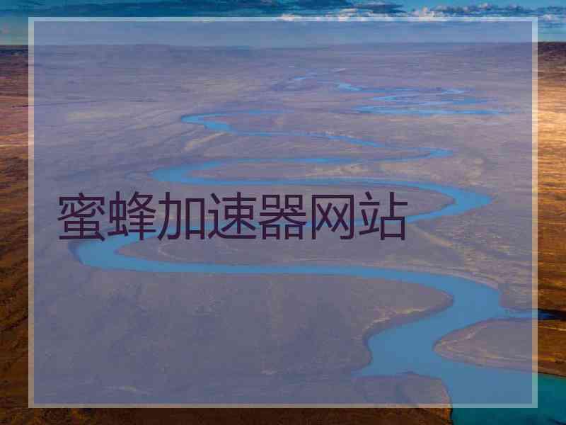 蜜蜂加速器网站