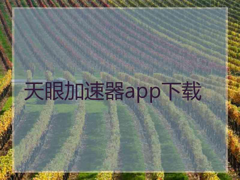天眼加速器app下载