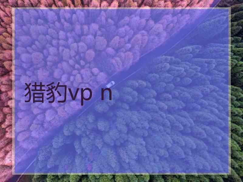 猎豹vp n