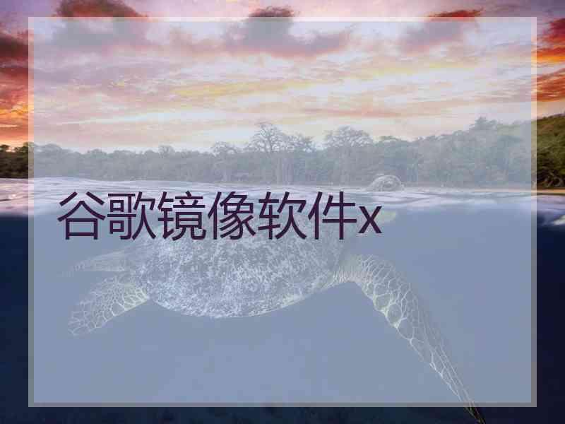 谷歌镜像软件x