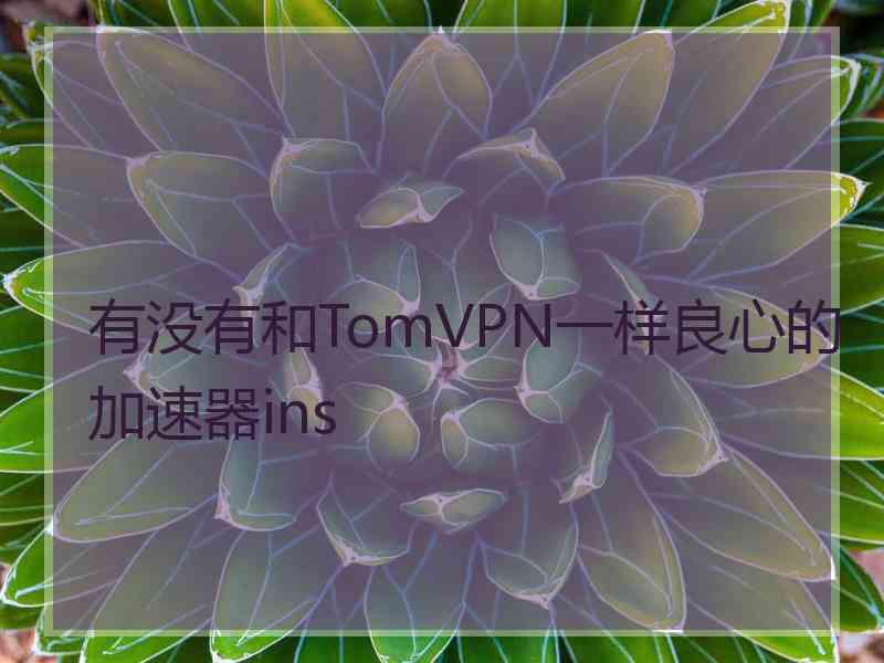 有没有和TomVPN一样良心的加速器ins